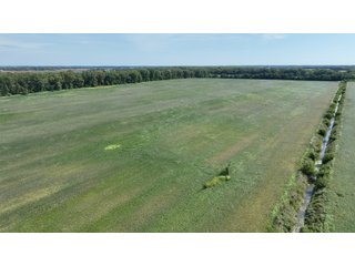 Property photo 4 - REAL ESTATE AUCTION - 240+/-ACRES OFFERED IN 6 TRACTS IN JASPER COUNTY, INDIANA
