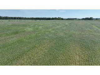 Property photo 3 - REAL ESTATE AUCTION - 240+/-ACRES OFFERED IN 6 TRACTS IN JASPER COUNTY, INDIANA