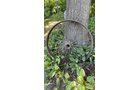 Property photo 262 - TIMED ONLINE ONLY PERSONAL PROPERTY AUCTION IN ALLEN COUNTY, INDIANA