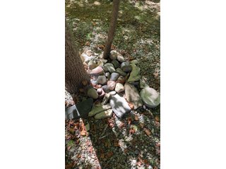 Property photo 487 - TIMED ONLINE ONLY PERSONAL PROPERTY AUCTION IN ALLEN COUNTY, INDIANA