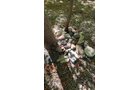 Property photo 487 - TIMED ONLINE ONLY PERSONAL PROPERTY AUCTION IN ALLEN COUNTY, INDIANA