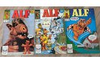 Property photo 12 - TIMED ONLINE ONLY PERSONAL PROPERTY AUCTION IN ALLEN COUNTY, INDIANA