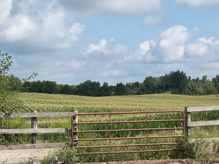 Property photo 24 - REAL ESTATE AUCTION - 115+/-ACRES OFFERED IN 4 TRACTS IN HENRY COUNTY, INDIANA