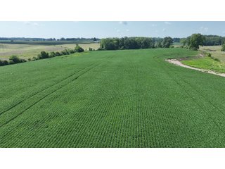 Property photo 26 - REAL ESTATE AUCTION - 115+/-ACRES OFFERED IN 4 TRACTS IN HENRY COUNTY, INDIANA