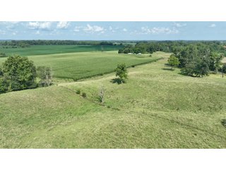 Property photo 12 - REAL ESTATE AUCTION - 115+/-ACRES OFFERED IN 4 TRACTS IN HENRY COUNTY, INDIANA
