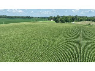 Property photo 2 - REAL ESTATE AUCTION - 115+/-ACRES OFFERED IN 4 TRACTS IN HENRY COUNTY, INDIANA