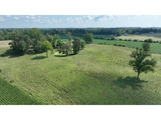 Property photo 5 - REAL ESTATE AUCTION - 115+/-ACRES OFFERED IN 4 TRACTS IN HENRY COUNTY, INDIANA