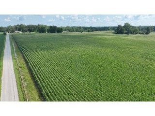 Property photo 8 - REAL ESTATE AUCTION - 115+/-ACRES OFFERED IN 4 TRACTS IN HENRY COUNTY, INDIANA