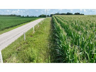 Property photo 9 - REAL ESTATE AUCTION - 115+/-ACRES OFFERED IN 4 TRACTS IN HENRY COUNTY, INDIANA