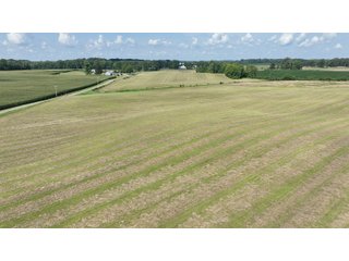 Property photo 14 - REAL ESTATE AUCTION - 115+/-ACRES OFFERED IN 4 TRACTS IN HENRY COUNTY, INDIANA