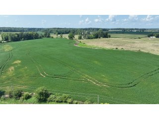 Property photo 17 - REAL ESTATE AUCTION - 115+/-ACRES OFFERED IN 4 TRACTS IN HENRY COUNTY, INDIANA