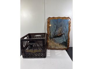 Property photo 9 - TIMED ONLINE ONLY PERSONAL PROPERTY AUCTION IN STEUBEN COUNTY, INDIANA