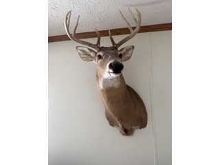 Property photo 34 - TIMED ONLINE ONLY PERSONAL PROPERTY AUCTION IN STEUBEN COUNTY, INDIANA