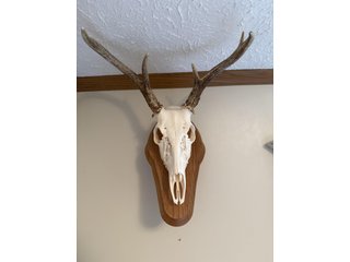 Property photo 43 - TIMED ONLINE ONLY PERSONAL PROPERTY AUCTION IN STEUBEN COUNTY, INDIANA