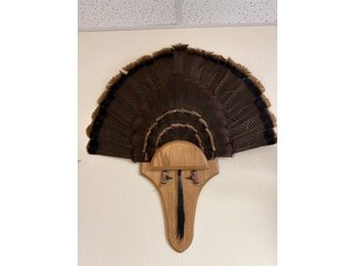 Property photo 74 - TIMED ONLINE ONLY PERSONAL PROPERTY AUCTION IN STEUBEN COUNTY, INDIANA