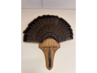 Property photo 75 - TIMED ONLINE ONLY PERSONAL PROPERTY AUCTION IN STEUBEN COUNTY, INDIANA