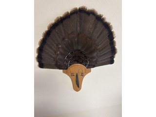 Property photo 76 - TIMED ONLINE ONLY PERSONAL PROPERTY AUCTION IN STEUBEN COUNTY, INDIANA