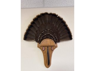 Property photo 77 - TIMED ONLINE ONLY PERSONAL PROPERTY AUCTION IN STEUBEN COUNTY, INDIANA