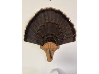 Property photo 78 - TIMED ONLINE ONLY PERSONAL PROPERTY AUCTION IN STEUBEN COUNTY, INDIANA
