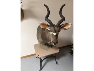 Property photo 97 - TIMED ONLINE ONLY PERSONAL PROPERTY AUCTION IN STEUBEN COUNTY, INDIANA