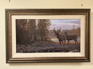 Property photo 108 - TIMED ONLINE ONLY PERSONAL PROPERTY AUCTION IN STEUBEN COUNTY, INDIANA