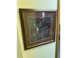 Property photo 109 - TIMED ONLINE ONLY PERSONAL PROPERTY AUCTION IN STEUBEN COUNTY, INDIANA