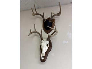 Property photo 110 - TIMED ONLINE ONLY PERSONAL PROPERTY AUCTION IN STEUBEN COUNTY, INDIANA