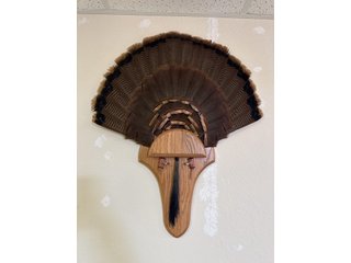 Property photo 115 - TIMED ONLINE ONLY PERSONAL PROPERTY AUCTION IN STEUBEN COUNTY, INDIANA