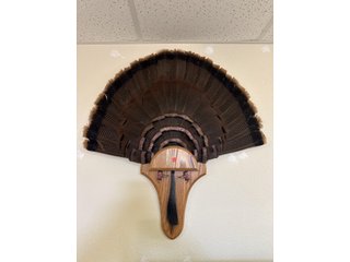 Property photo 117 - TIMED ONLINE ONLY PERSONAL PROPERTY AUCTION IN STEUBEN COUNTY, INDIANA