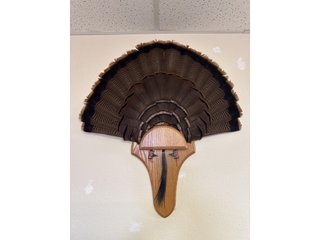 Property photo 119 - TIMED ONLINE ONLY PERSONAL PROPERTY AUCTION IN STEUBEN COUNTY, INDIANA