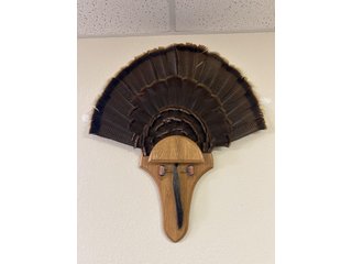 Property photo 134 - TIMED ONLINE ONLY PERSONAL PROPERTY AUCTION IN STEUBEN COUNTY, INDIANA