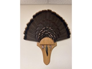 Property photo 135 - TIMED ONLINE ONLY PERSONAL PROPERTY AUCTION IN STEUBEN COUNTY, INDIANA