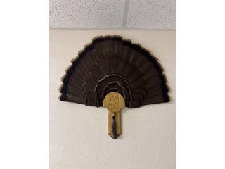 Property photo 144 - TIMED ONLINE ONLY PERSONAL PROPERTY AUCTION IN STEUBEN COUNTY, INDIANA