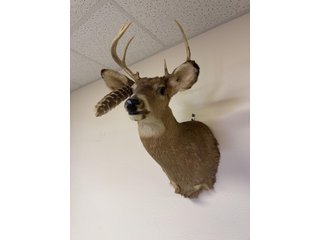 Property photo 189 - TIMED ONLINE ONLY PERSONAL PROPERTY AUCTION IN STEUBEN COUNTY, INDIANA