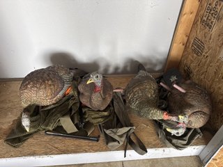 Property photo 339 - TIMED ONLINE ONLY PERSONAL PROPERTY AUCTION IN STEUBEN COUNTY, INDIANA