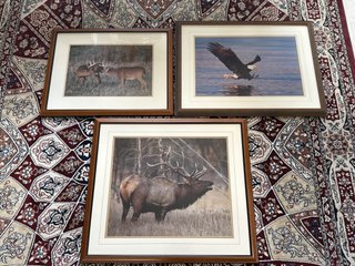 Property photo 378 - TIMED ONLINE ONLY PERSONAL PROPERTY AUCTION IN STEUBEN COUNTY, INDIANA
