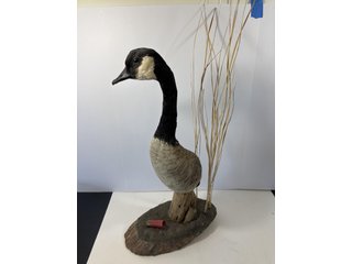 Property photo 408 - TIMED ONLINE ONLY PERSONAL PROPERTY AUCTION IN STEUBEN COUNTY, INDIANA