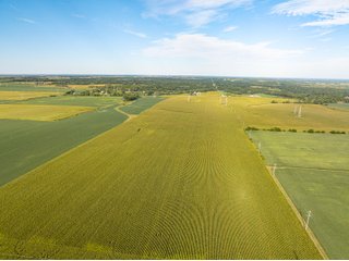 Property photo 18 - LAND AUCTION - 269+/- ACRES OFFERED IN 5 TRACTS IN PEORIA COUNTY, ILLINOIS
