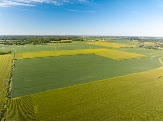 Property photo 19 - LAND AUCTION - 269+/- ACRES OFFERED IN 5 TRACTS IN PEORIA COUNTY, ILLINOIS