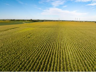 Property photo 20 - LAND AUCTION - 269+/- ACRES OFFERED IN 5 TRACTS IN PEORIA COUNTY, ILLINOIS