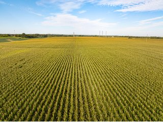 Property photo 21 - LAND AUCTION - 269+/- ACRES OFFERED IN 5 TRACTS IN PEORIA COUNTY, ILLINOIS