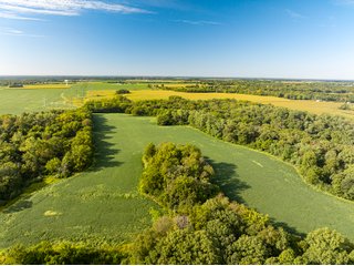 Property photo 24 - LAND AUCTION - 269+/- ACRES OFFERED IN 5 TRACTS IN PEORIA COUNTY, ILLINOIS