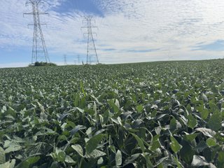 Property photo 13 - LAND AUCTION - 269+/- ACRES OFFERED IN 5 TRACTS IN PEORIA COUNTY, ILLINOIS