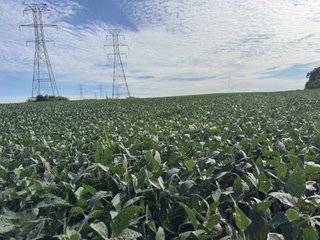 Property photo 14 - LAND AUCTION - 269+/- ACRES OFFERED IN 5 TRACTS IN PEORIA COUNTY, ILLINOIS