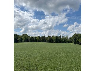 Property photo 2 - LAND AUCTION - 100.5+/- ACRES OFFERED IN 11 TRACTS IN BERRIEN COUNTY, MICHIGAN