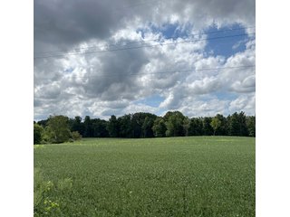 Property photo 3 - LAND AUCTION - 100.5+/- ACRES OFFERED IN 11 TRACTS IN BERRIEN COUNTY, MICHIGAN