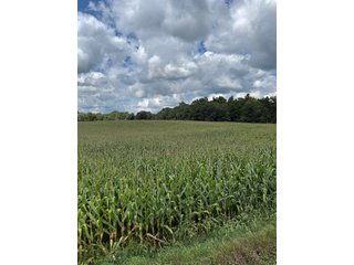 Property photo 4 - LAND AUCTION - 100.5+/- ACRES OFFERED IN 11 TRACTS IN BERRIEN COUNTY, MICHIGAN