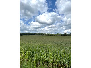 Property photo 1 - LAND AUCTION - 100.5+/- ACRES OFFERED IN 11 TRACTS IN BERRIEN COUNTY, MICHIGAN