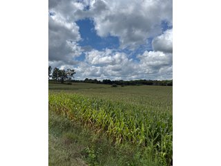 Property photo 5 - LAND AUCTION - 100.5+/- ACRES OFFERED IN 11 TRACTS IN BERRIEN COUNTY, MICHIGAN