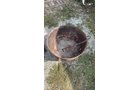 Property photo 124 - TIMED ONLINE ONLY PERSONAL PROPERTY AUCTION IN ALLEN COUNTY, INDIANA
